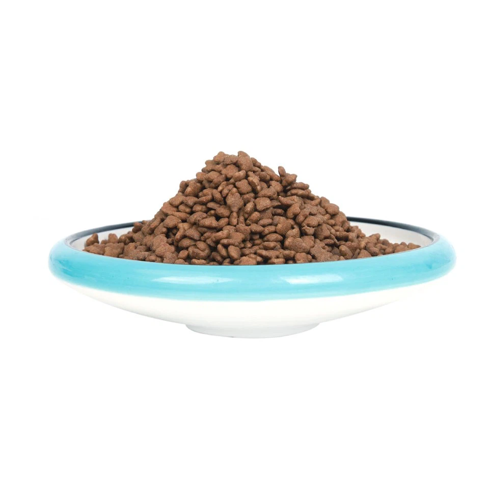 High Protein Dog Food